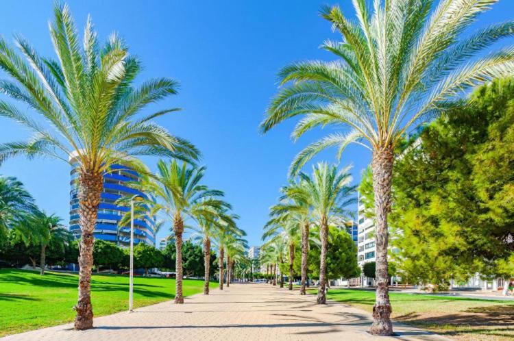 Apartmán Cala Cosy Benidorm Exteriér fotografie